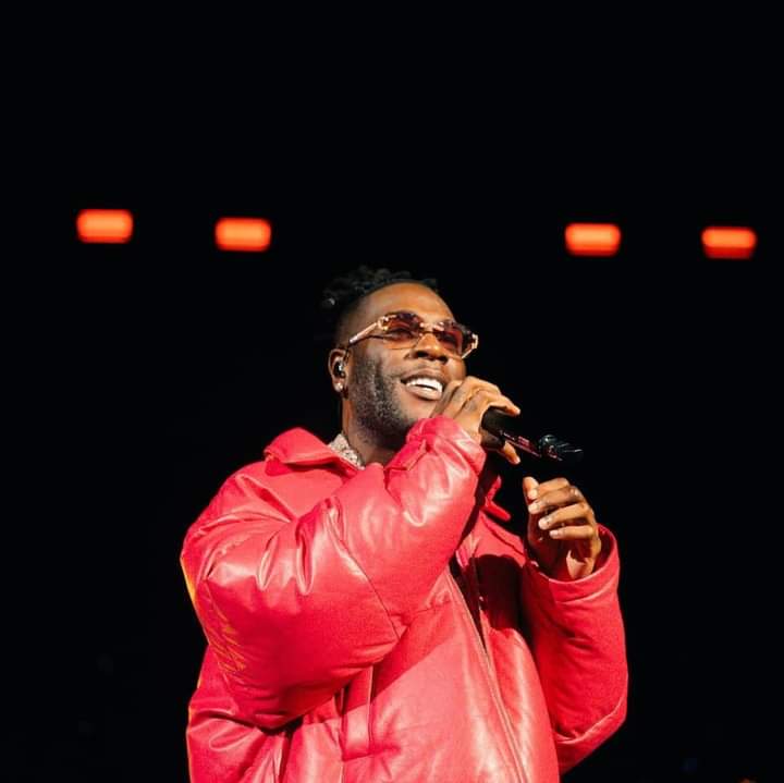 INTERNATIONAL: Burna Boy declines $5 million Dubai show over smoking ban