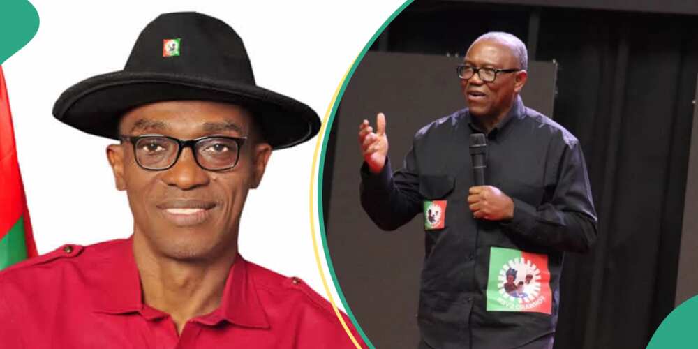 Peter Obi Clarifies Visit to Labour Party Headquarters, Denies Endorsing Abure-led NWC