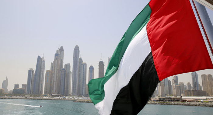 FULL LIST: Step-by-step guide, conditions for Nigerians to obtain UAE visa.