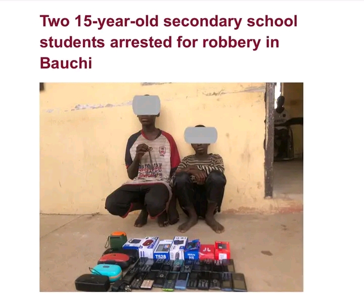 Nigeria :Two teenagers caught in armed robbery in Bauchi.