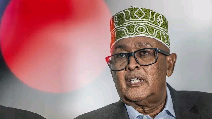 Somaliland Opposition Leader Irro Wins Presidential Election