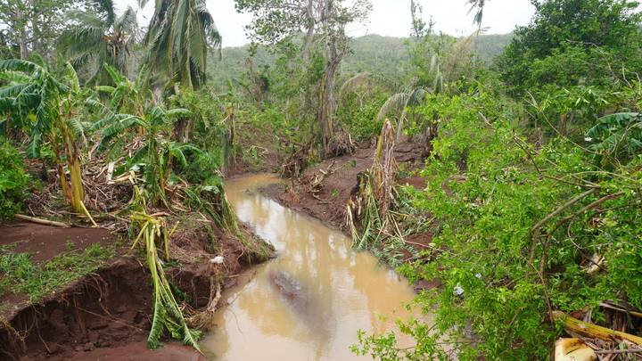 Cyclone Dikeledi Devastates Mozambique, Leaving Death and Destruction in Its Wake