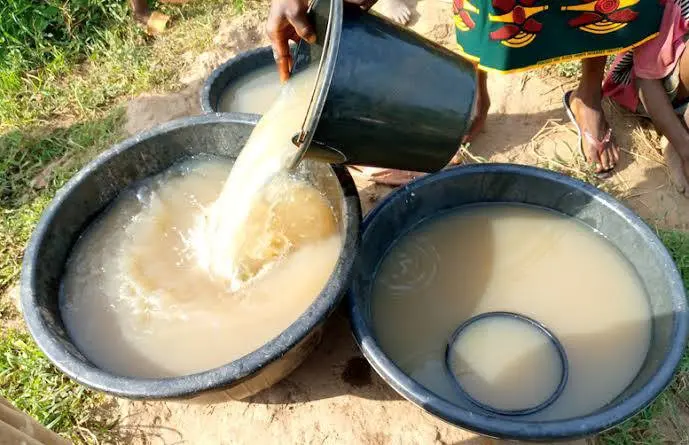 Water Crisis in Benue, Nigeria Forces Residents to Drink from Muddy Pools