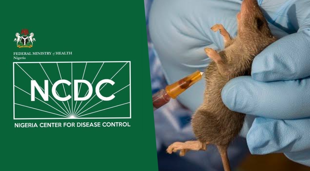 The Nigeria Centre for Disease Control Confirms Lassa Fever Death of UK Returnee, Raising Toll to 98″