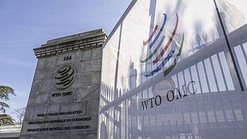 WTO And IMF Caution Against Global Trade Disruptions Due To New U.S. Tariffs