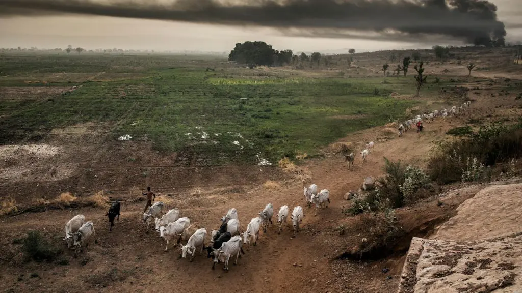 Terrorists Threaten Nigerian Farmers in Kebbi: Use Cattle or Die