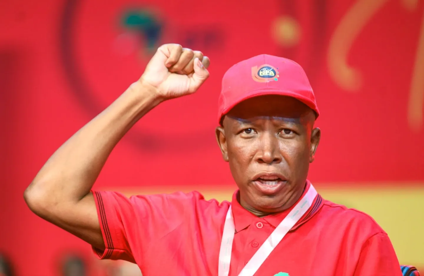 UK Denies Visa to South Africa’s Julius Malema Over Security and Extremism Concerns