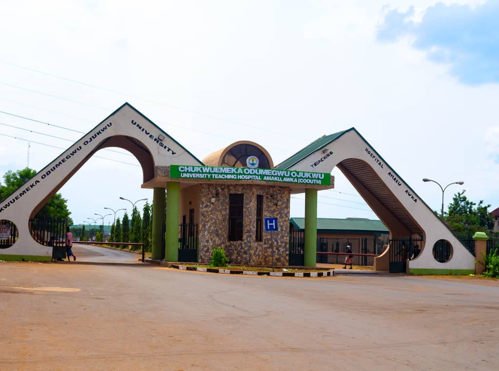 Anambra Resident Doctors begin 7-day strike over unmet needs