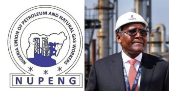 Nigeria: FG Urges NUPENG to Halt Planned Strike, Calls Conciliation Meeting